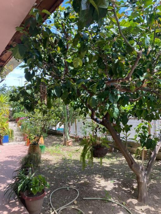 شقة Hidden Nest Rodhiá المظهر الخارجي الصورة
